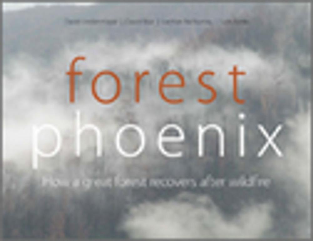 Big bigCover of Forest Phoenix