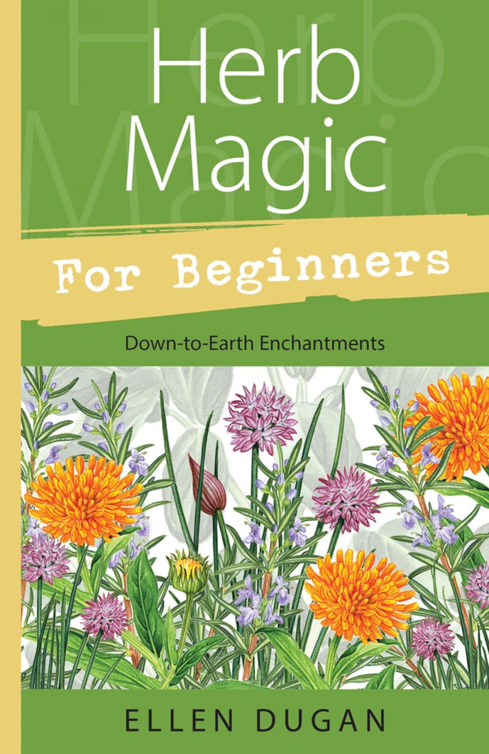 Big bigCover of Herb Magic for Beginners