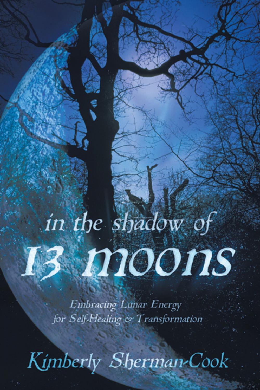 Big bigCover of In the Shadow of 13 Moons