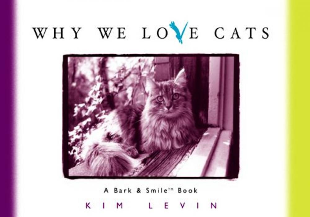 Big bigCover of Why We Love Cats