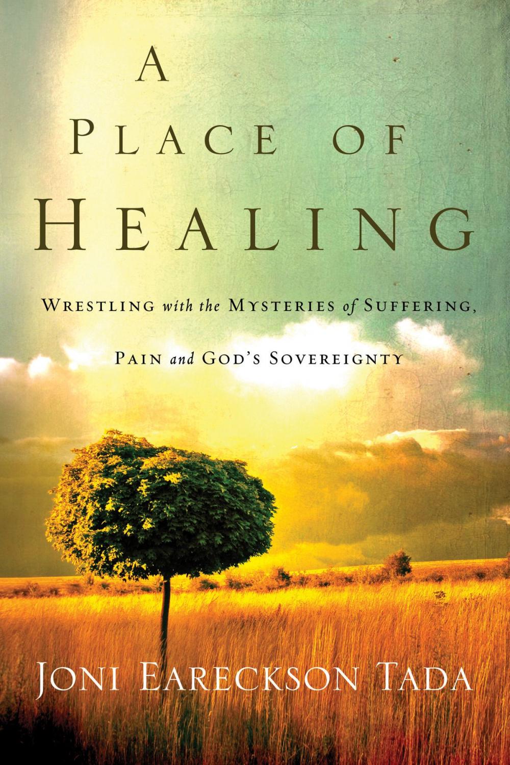 Big bigCover of A Place of Healing: Wrestling with the Mysteries of Suffering, Pain, and God's Sovereignty