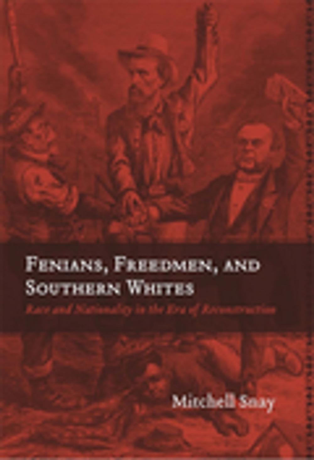 Big bigCover of Fenians, Freedmen, and Southern Whites