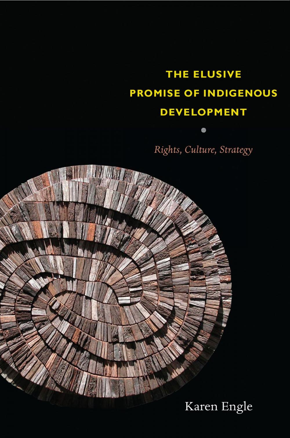 Big bigCover of The Elusive Promise of Indigenous Development