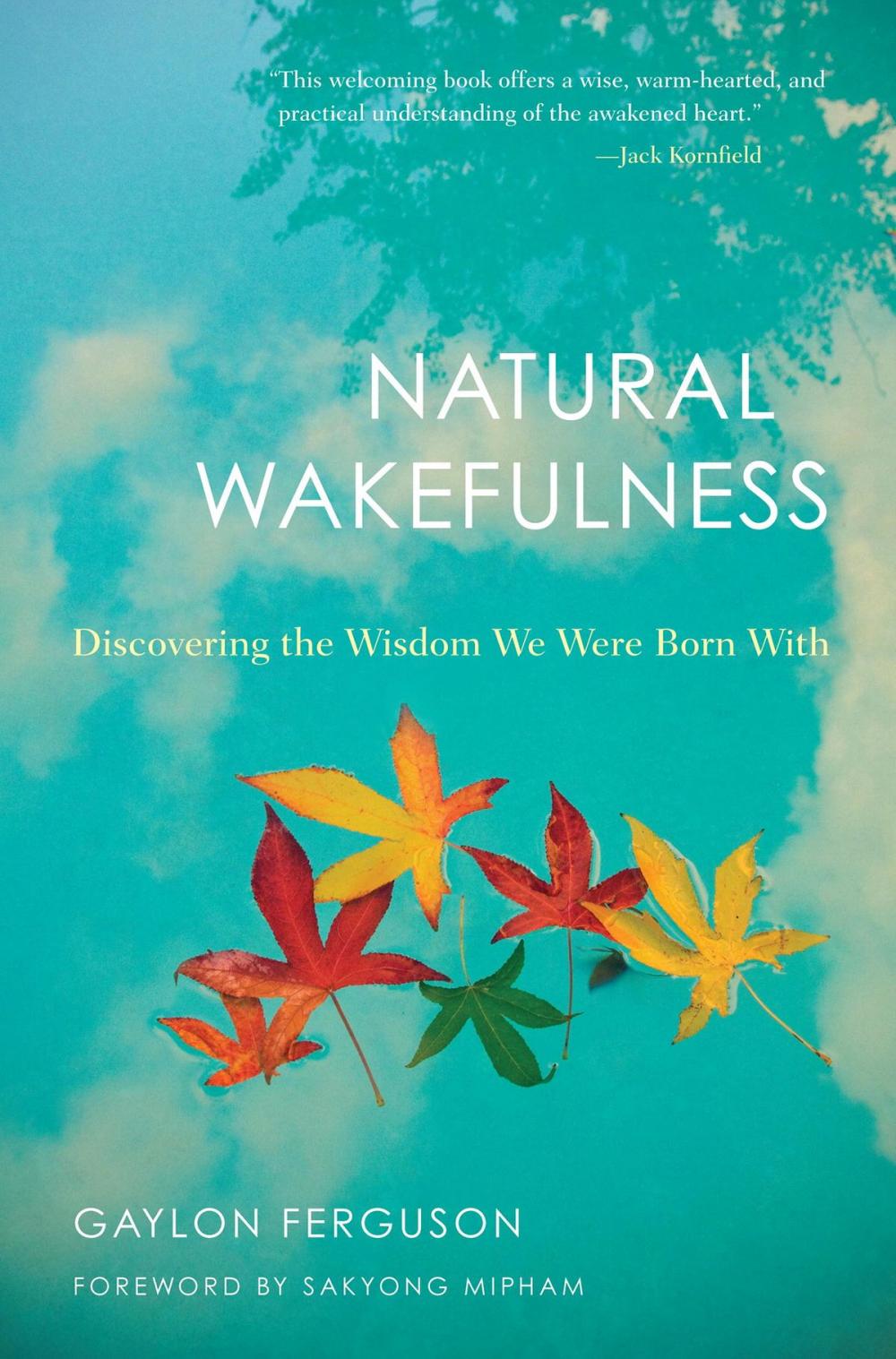 Big bigCover of Natural Wakefulness