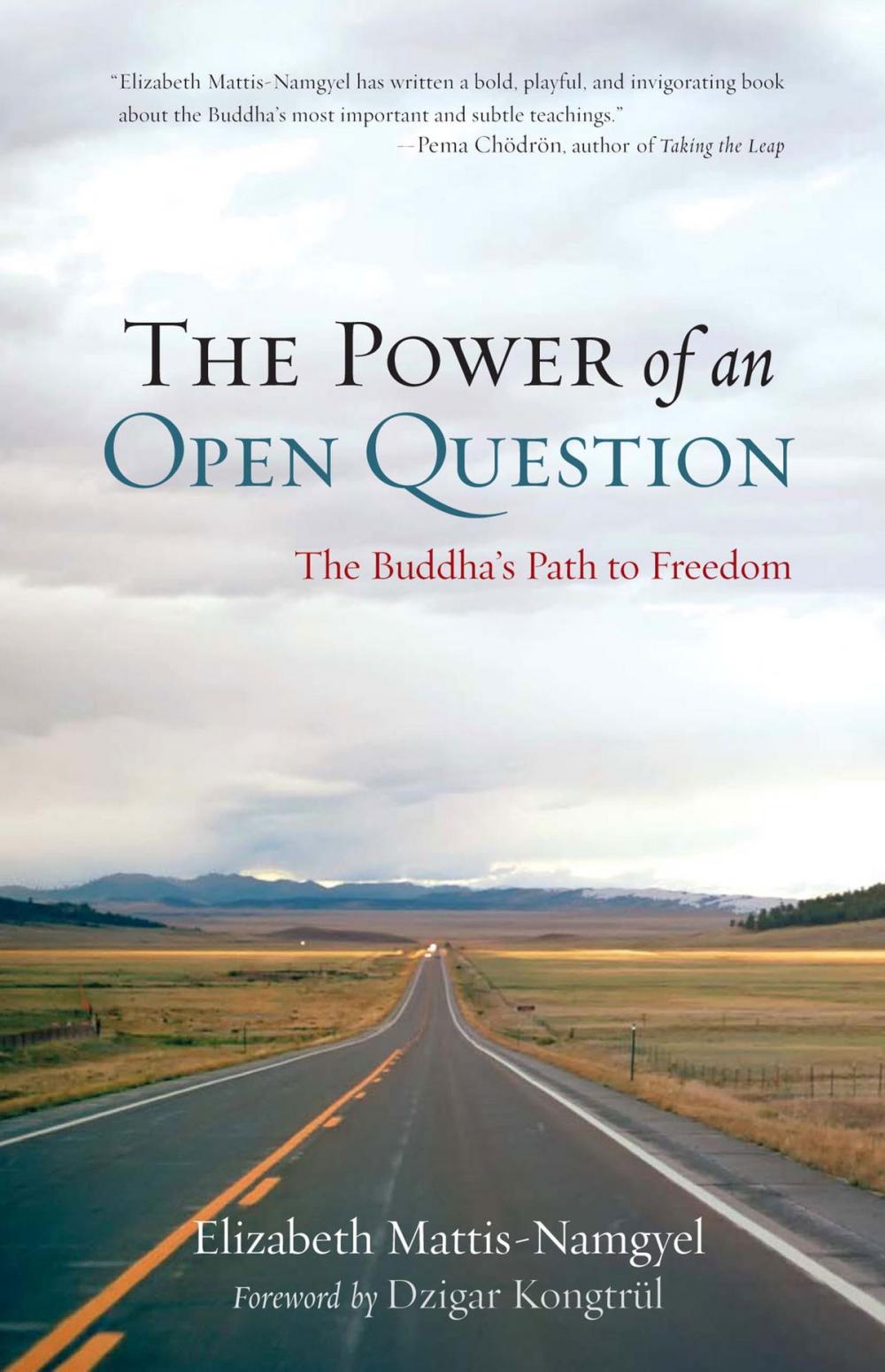 Big bigCover of The Power of an Open Question