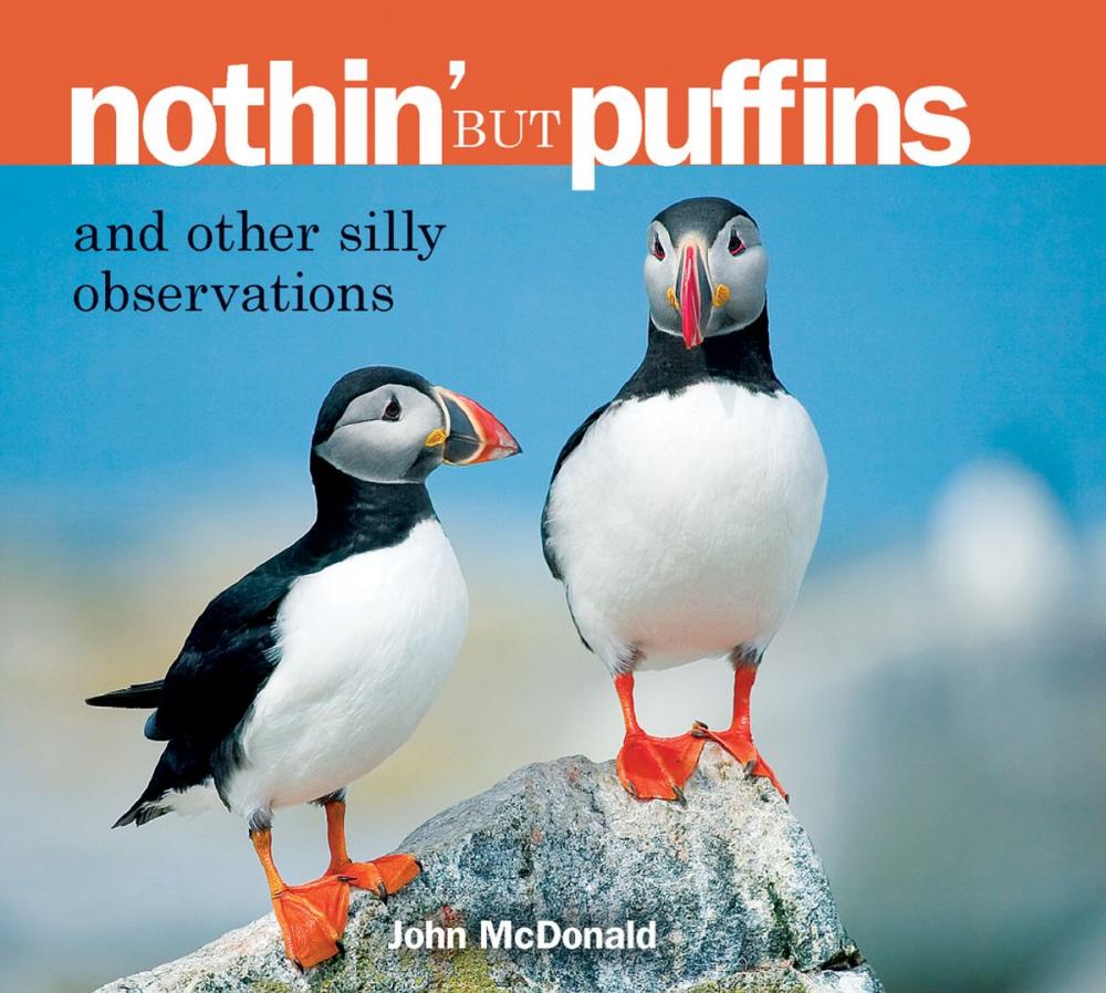 Big bigCover of Nothin' but Puffins