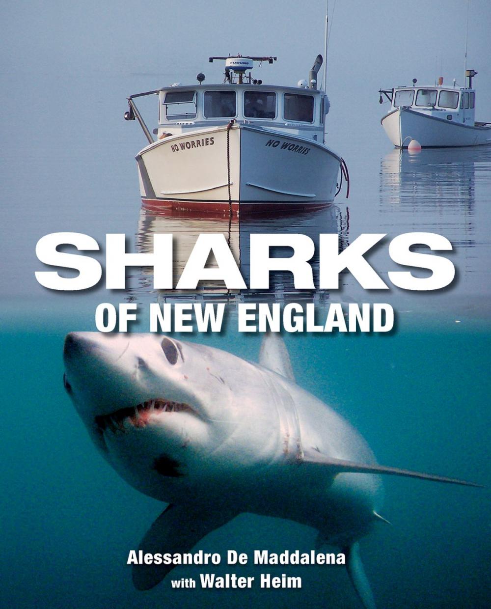 Big bigCover of Sharks of New England