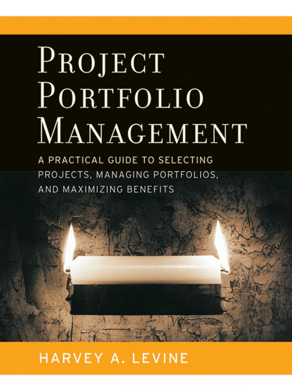 Big bigCover of Project Portfolio Management