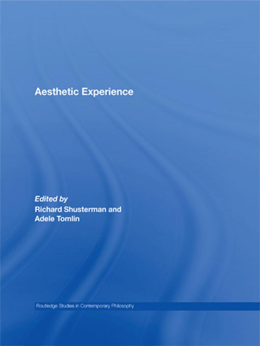 Big bigCover of Aesthetic Experience