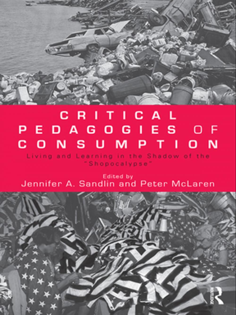 Big bigCover of Critical Pedagogies of Consumption