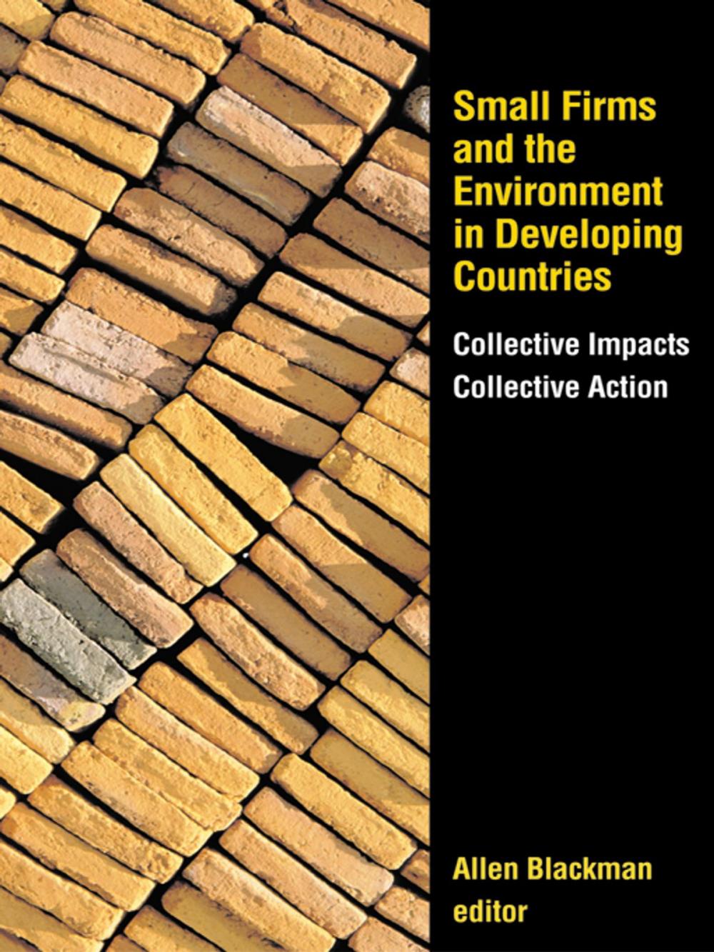 Big bigCover of Small Firms and the Environment in Developing Countries