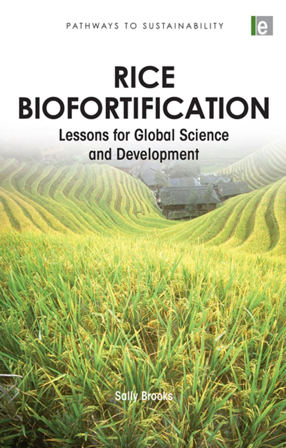 Big bigCover of Rice Biofortification