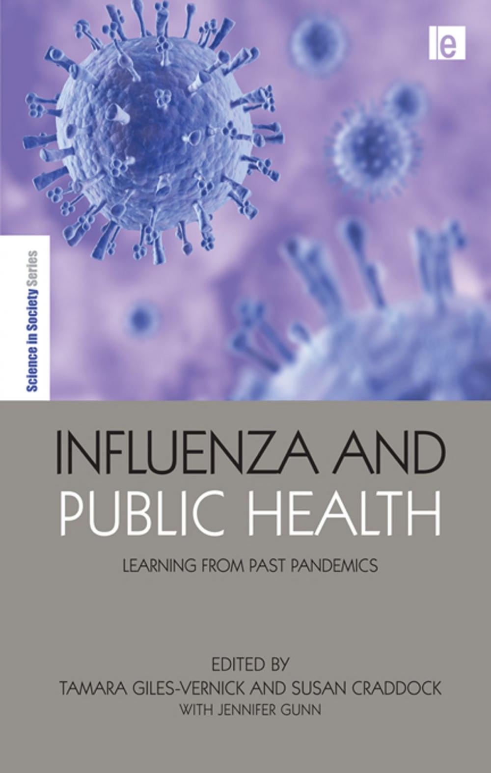 Big bigCover of Influenza and Public Health