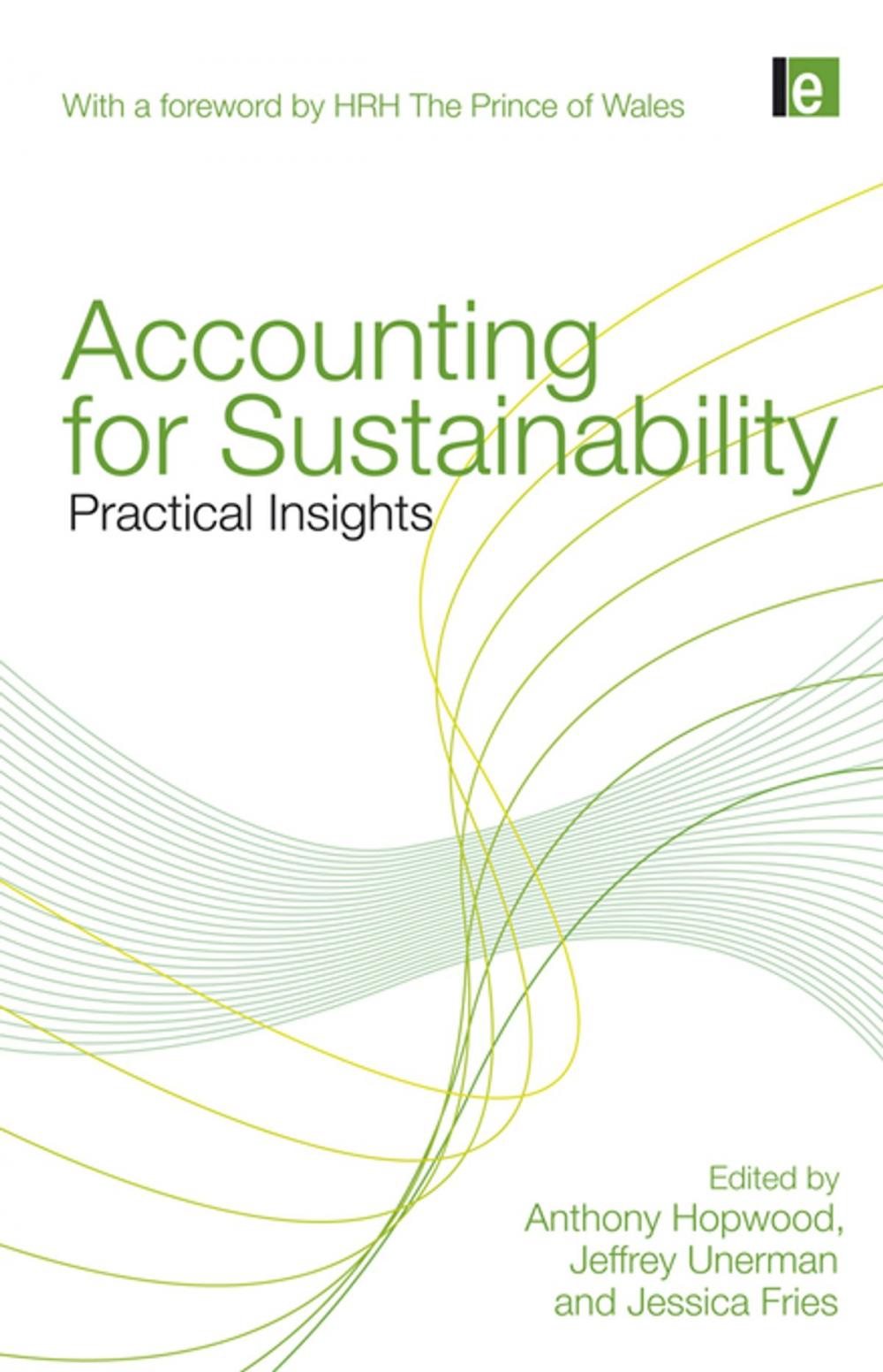 Big bigCover of Accounting for Sustainability