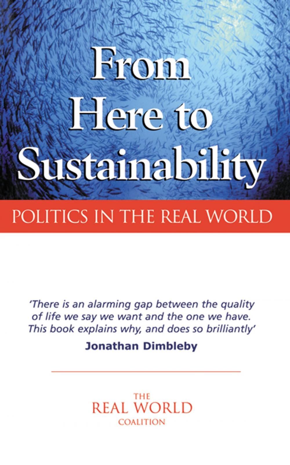 Big bigCover of From Here to Sustainability