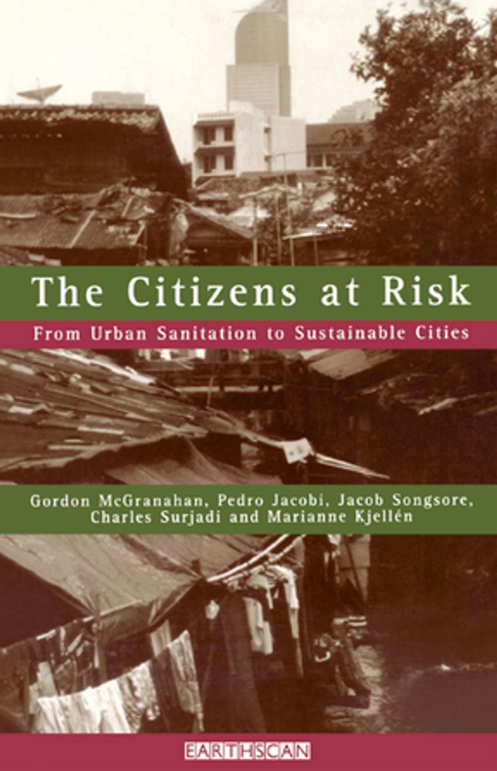 Big bigCover of The Citizens at Risk