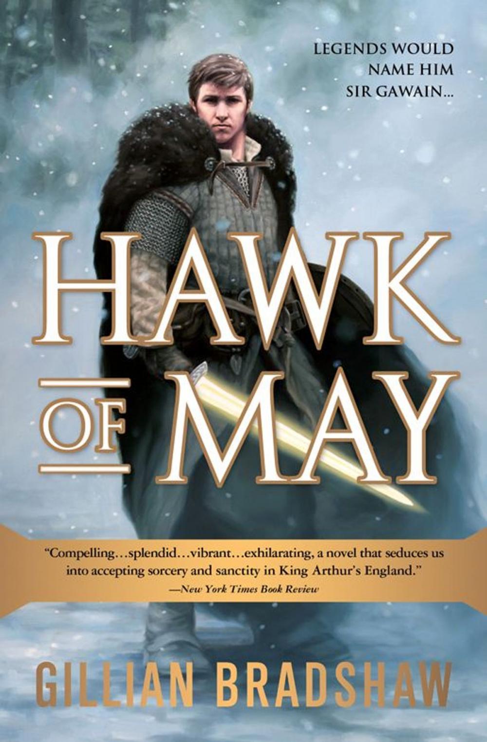 Big bigCover of Hawk of May