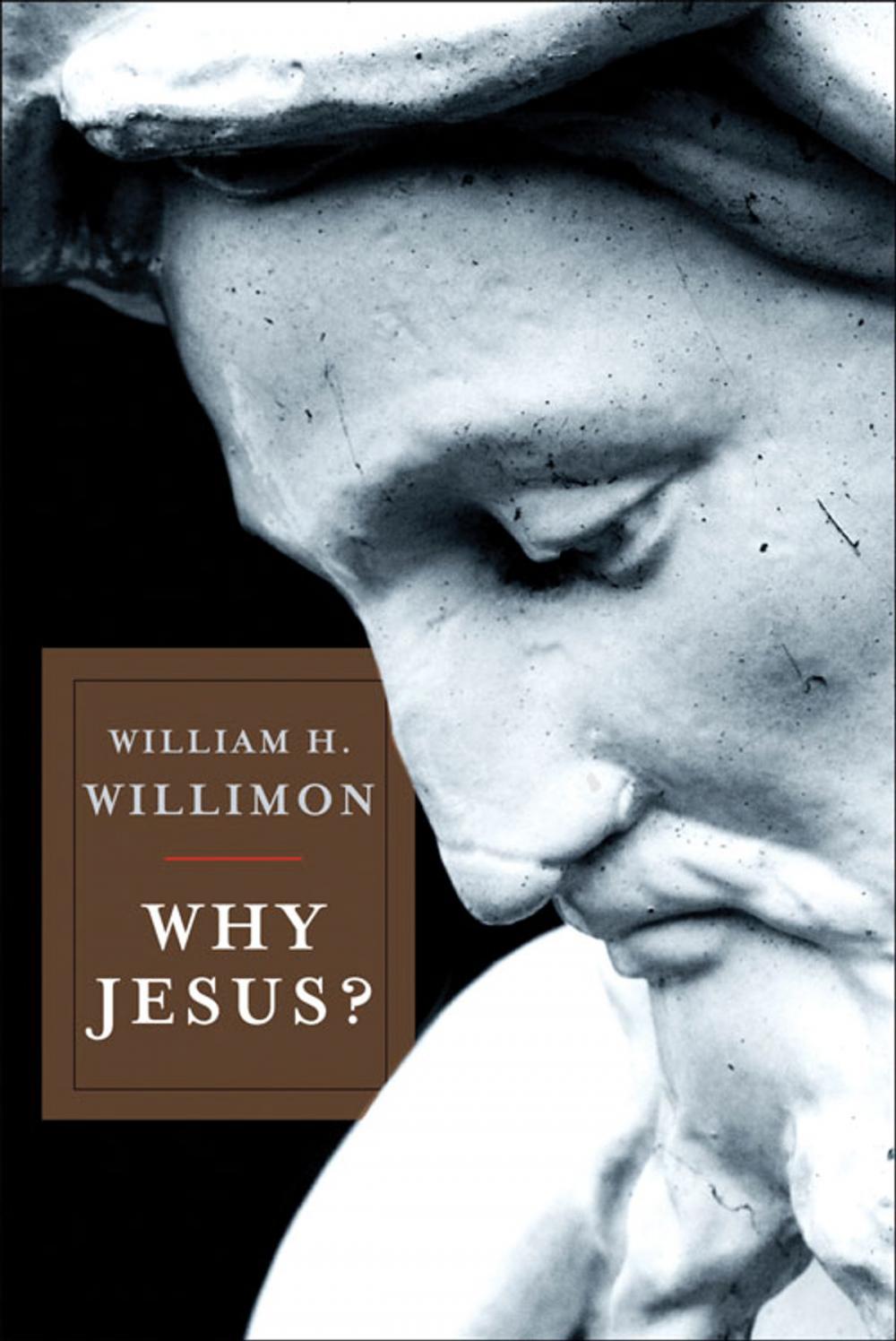 Big bigCover of Why Jesus?