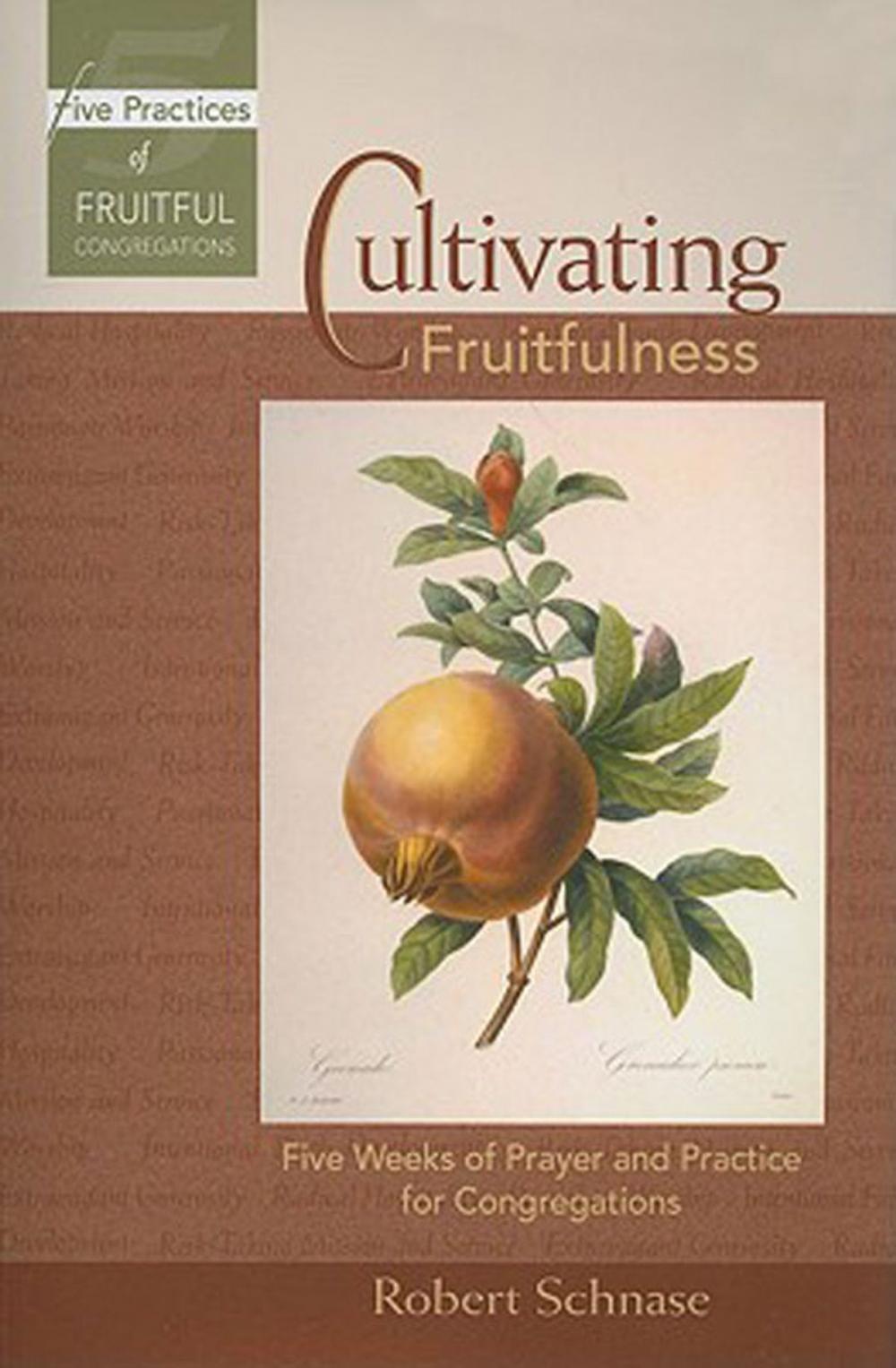 Big bigCover of Cultivating Fruitfulness