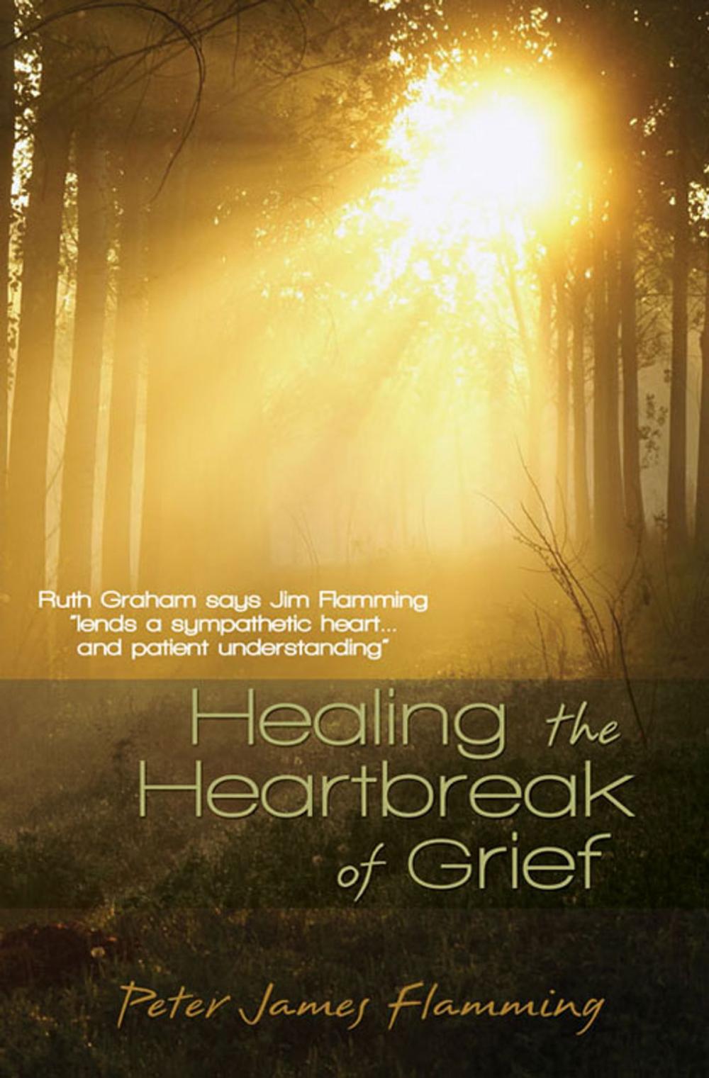 Big bigCover of Healing the Heartbreak of Grief