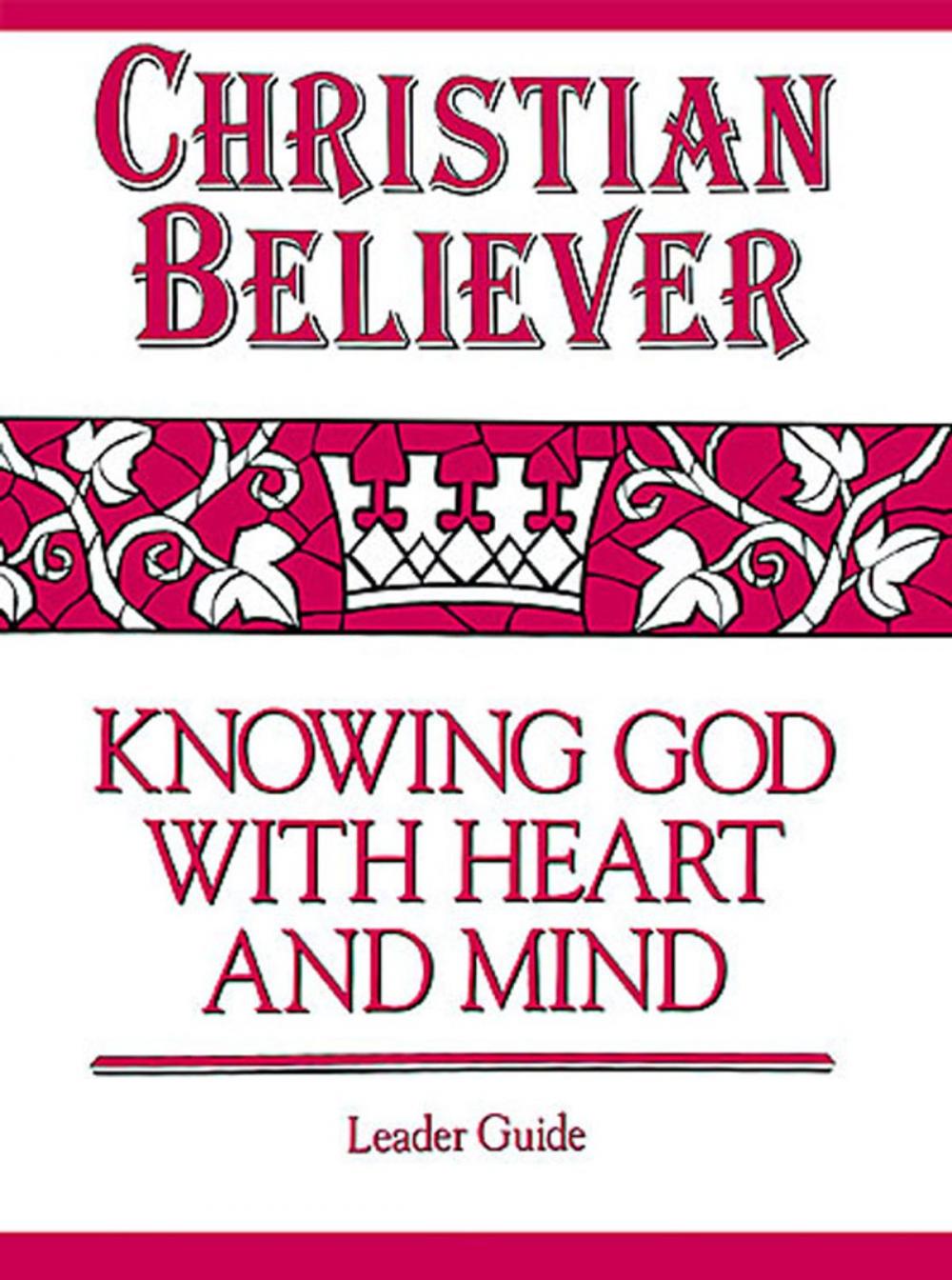 Big bigCover of Christian Believer Leader Guide