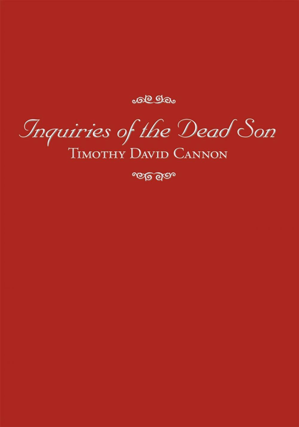 Big bigCover of Inquiries of the Dead Son