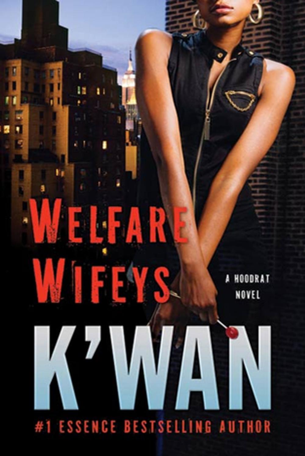 Big bigCover of Welfare Wifeys