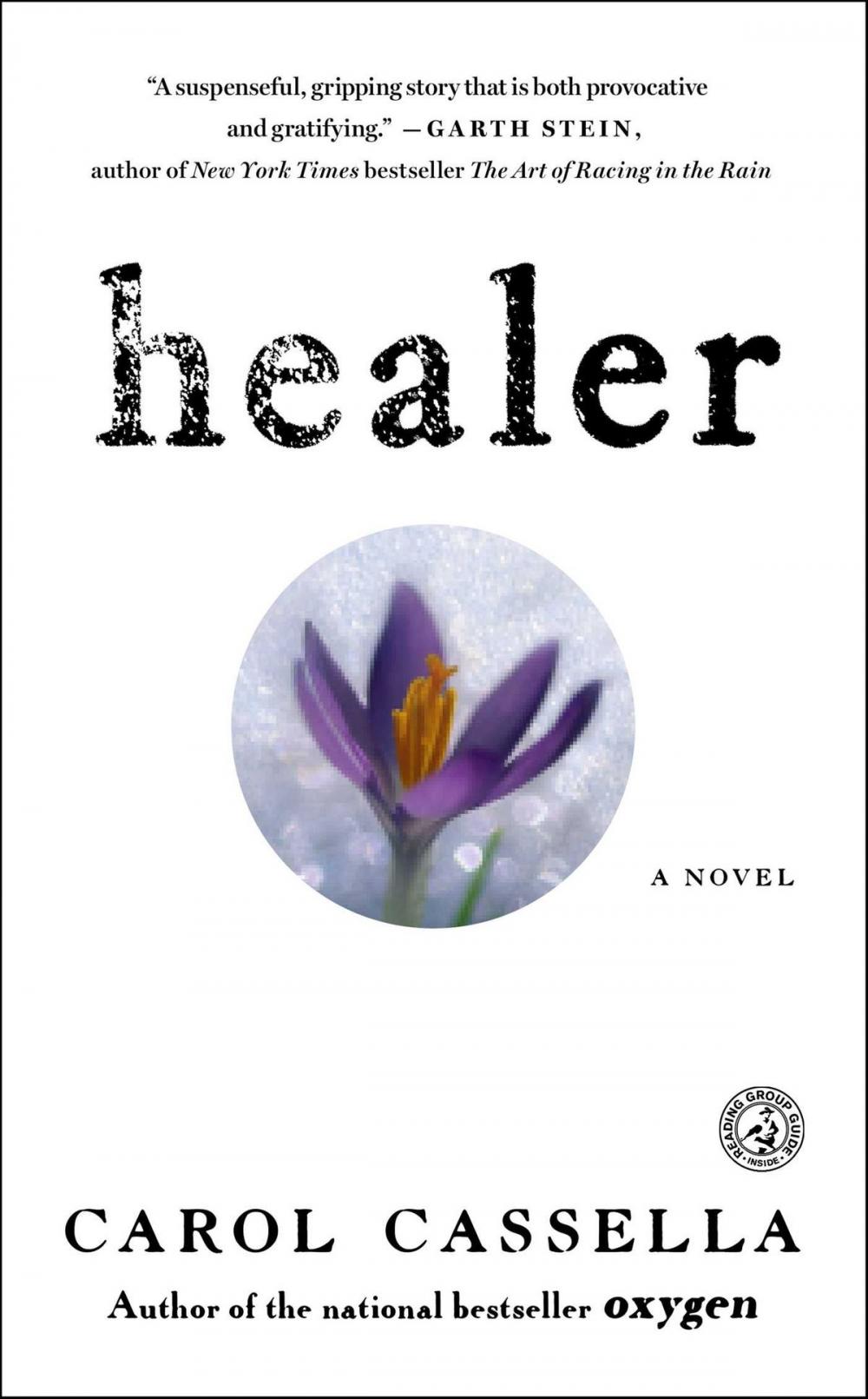 Big bigCover of Healer