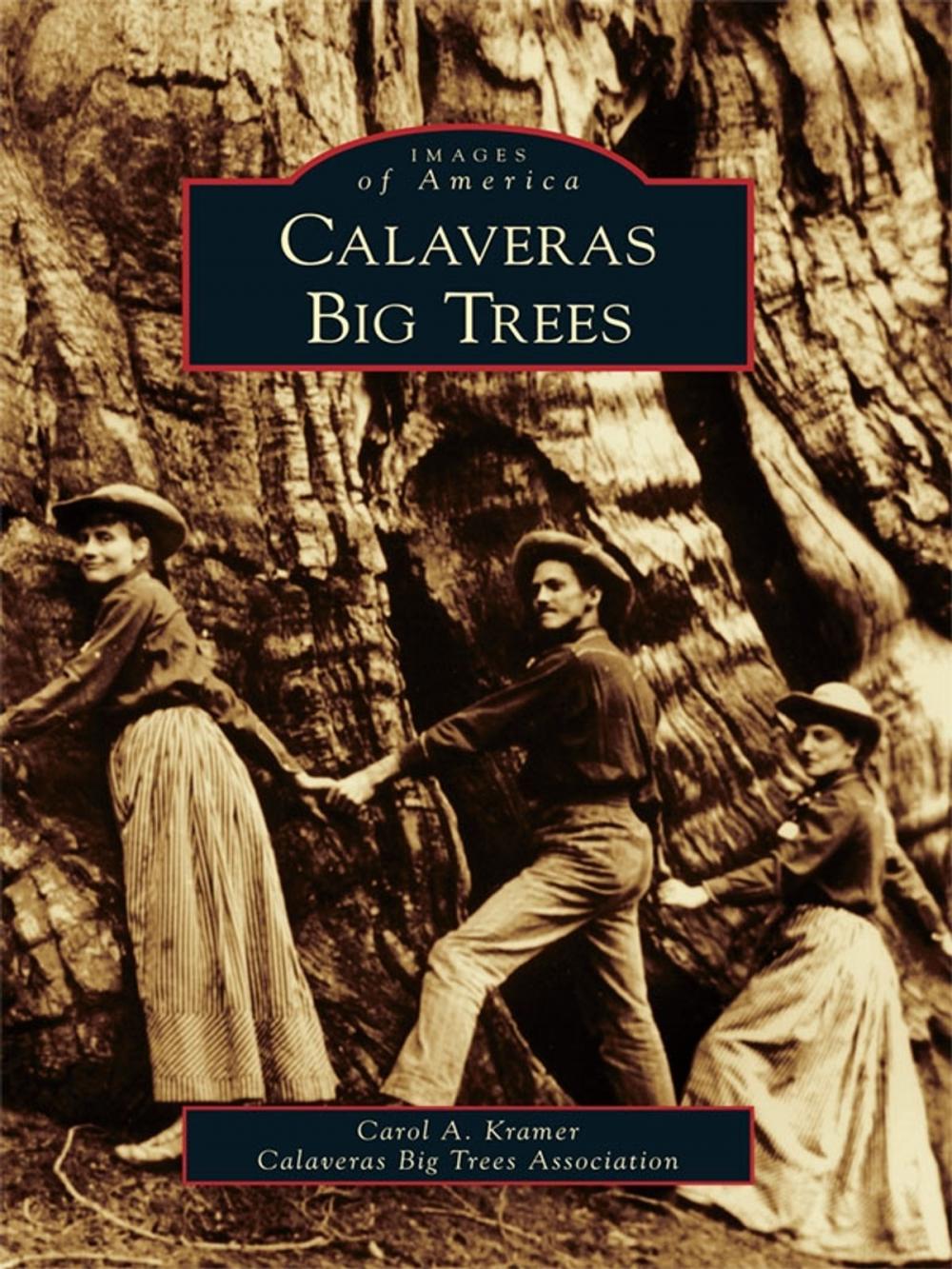 Big bigCover of Calaveras Big Trees