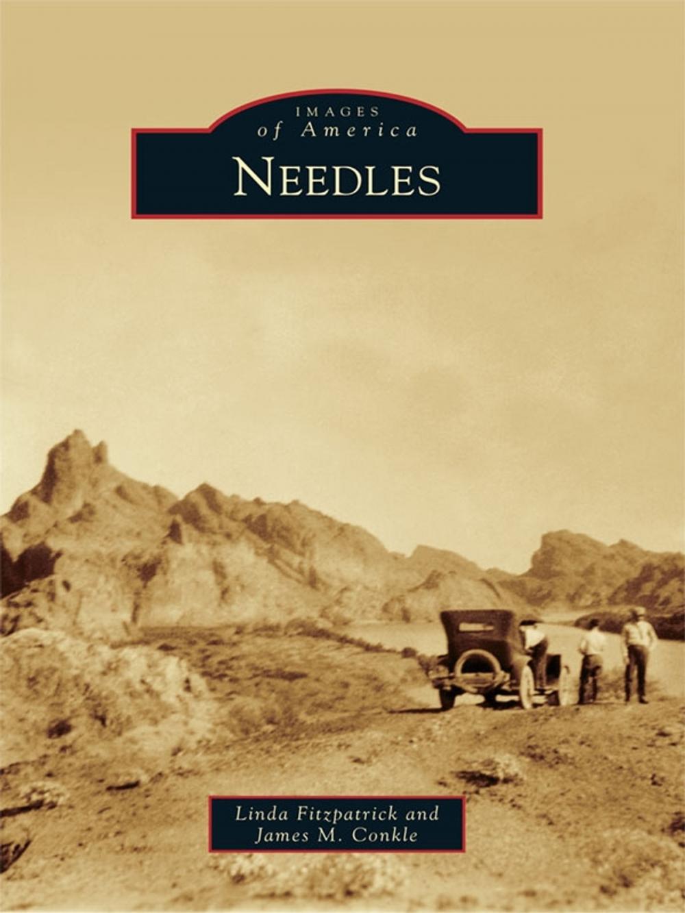 Big bigCover of Needles