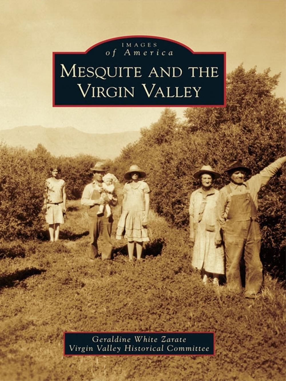 Big bigCover of Mesquite and the Virgin Valley