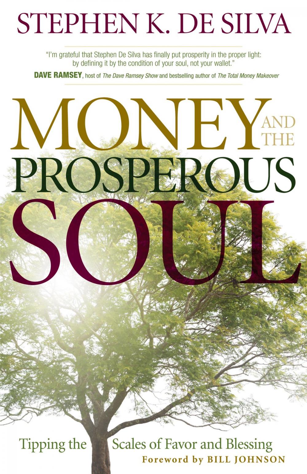 Big bigCover of Money and the Prosperous Soul