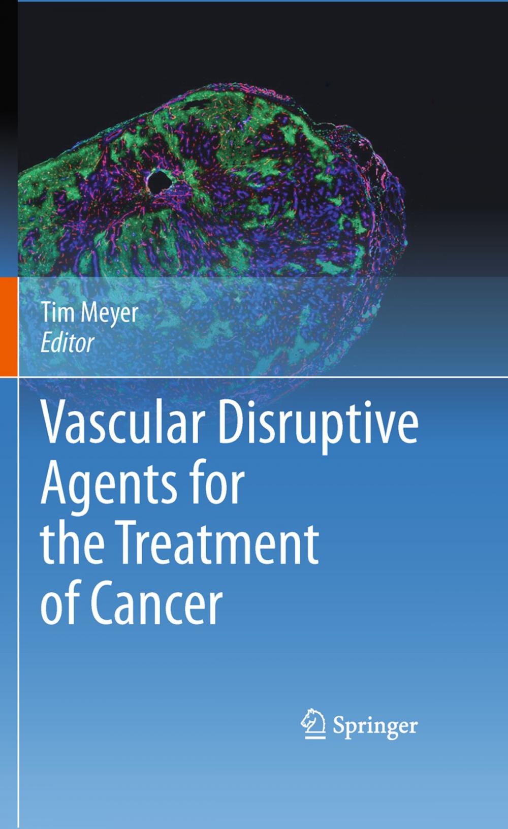 Big bigCover of Vascular Disruptive Agents for the Treatment of Cancer