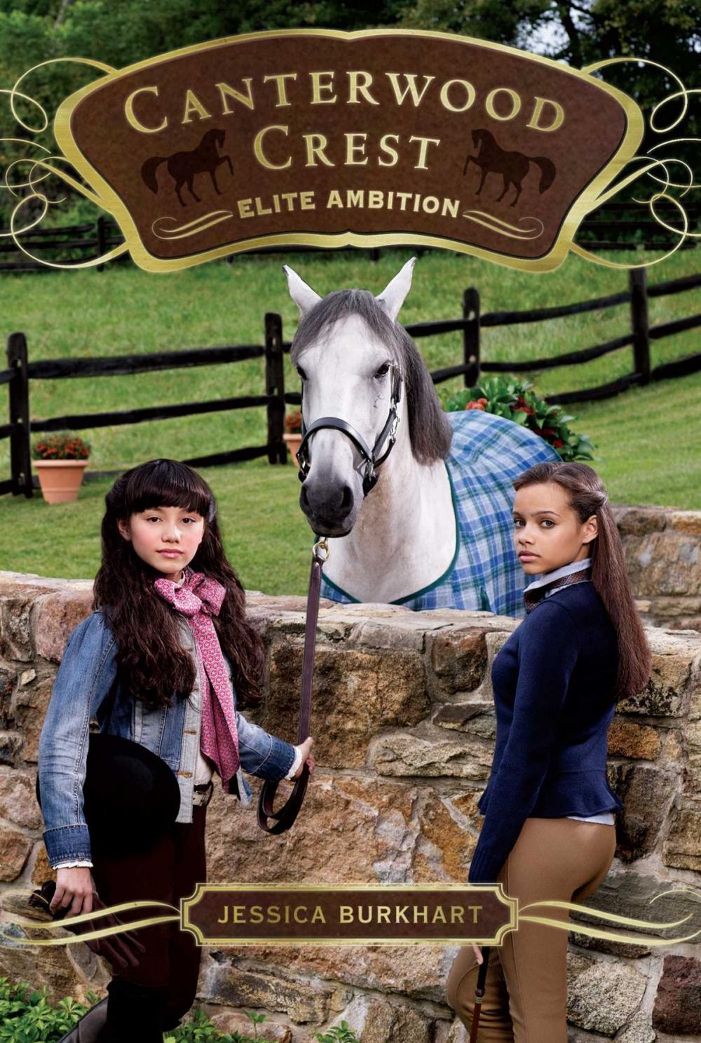 Big bigCover of Elite Ambition