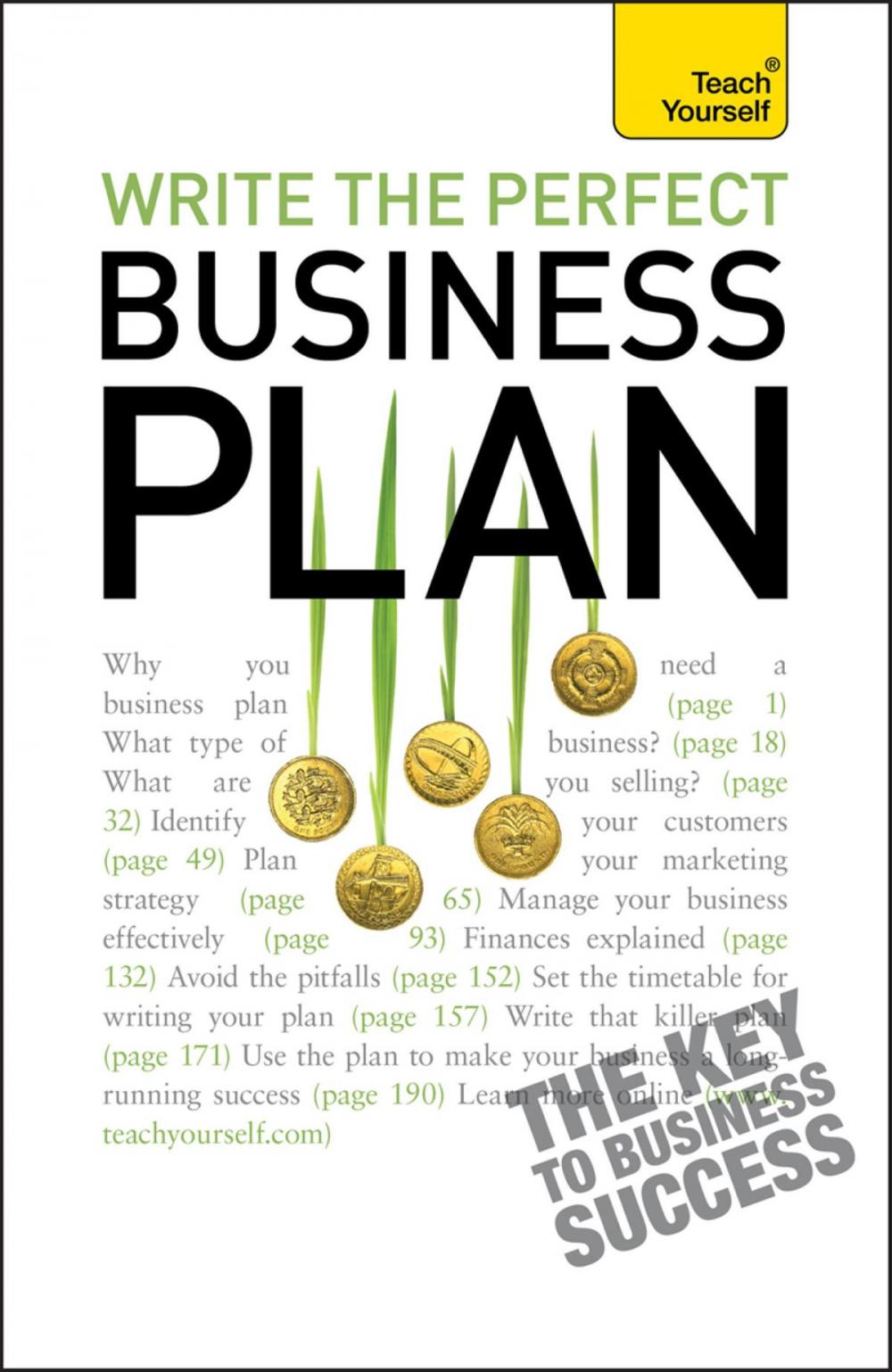 Big bigCover of Write the Perfect Business Plan: Teach Yourself