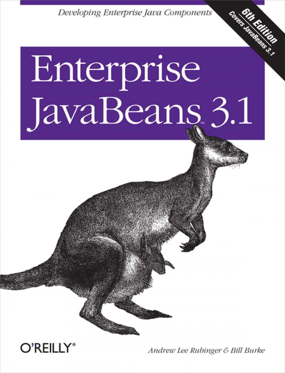 Big bigCover of Enterprise JavaBeans 3.1