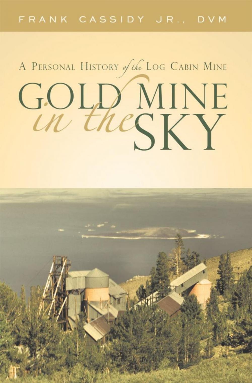 Big bigCover of Gold Mine in the Sky