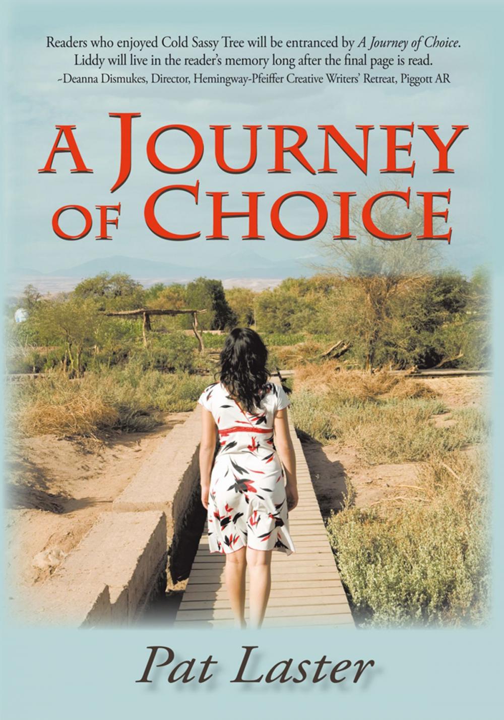 Big bigCover of A Journey of Choice