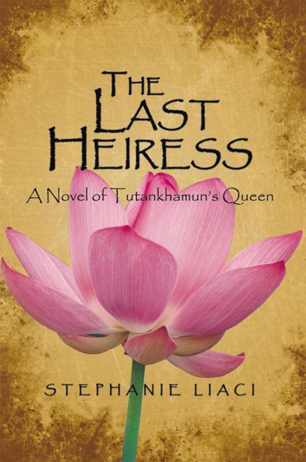 Big bigCover of The Last Heiress