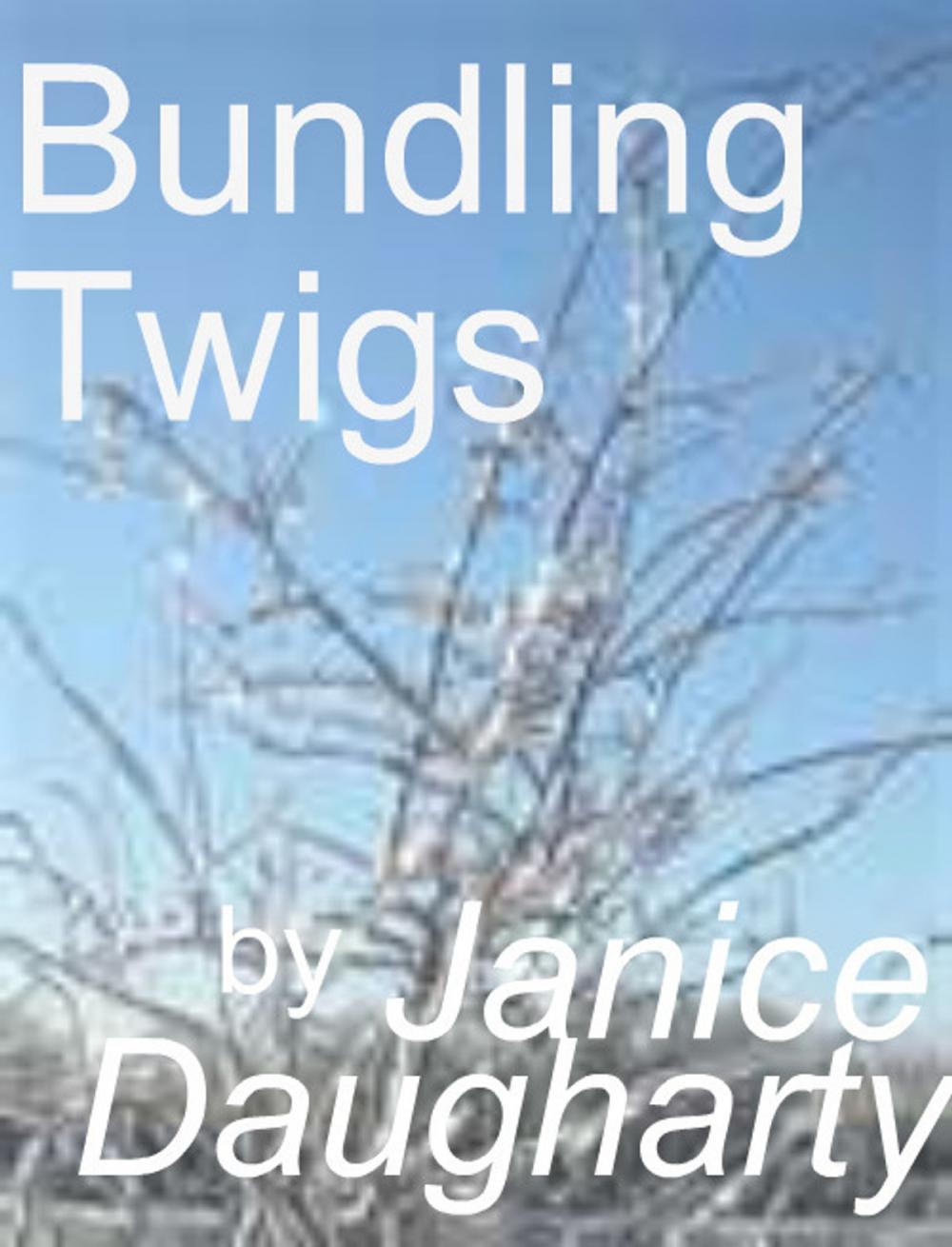 Big bigCover of Bundling Twigs