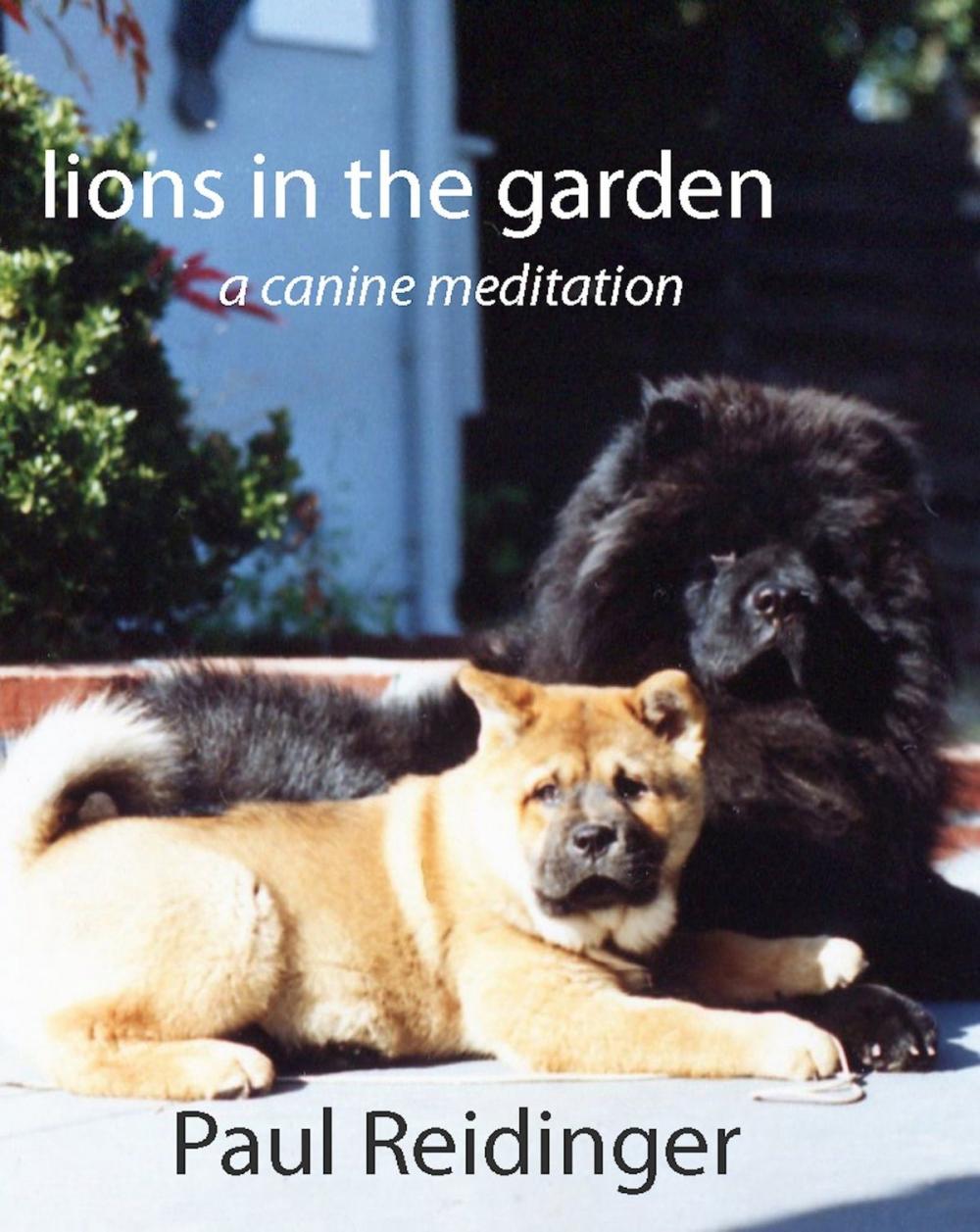 Big bigCover of Lions in the Garden: A Canine Meditation