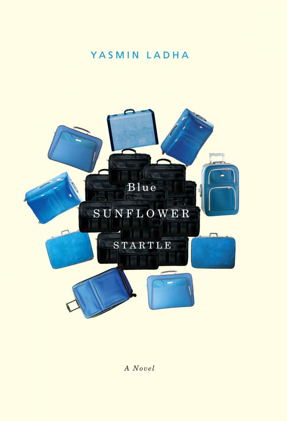 Big bigCover of Blue Sunflower Startle