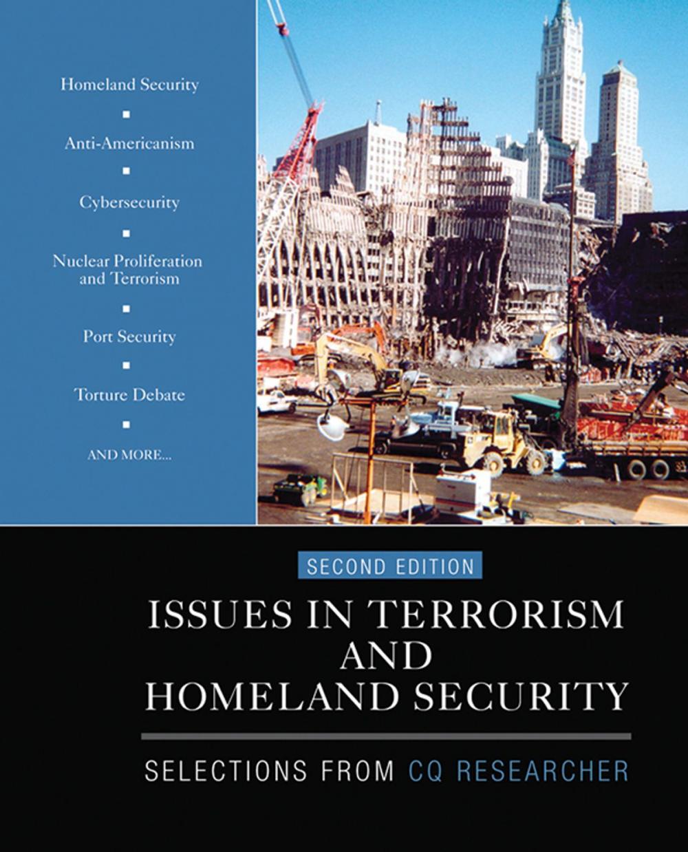 Big bigCover of Issues in Terrorism and Homeland Security