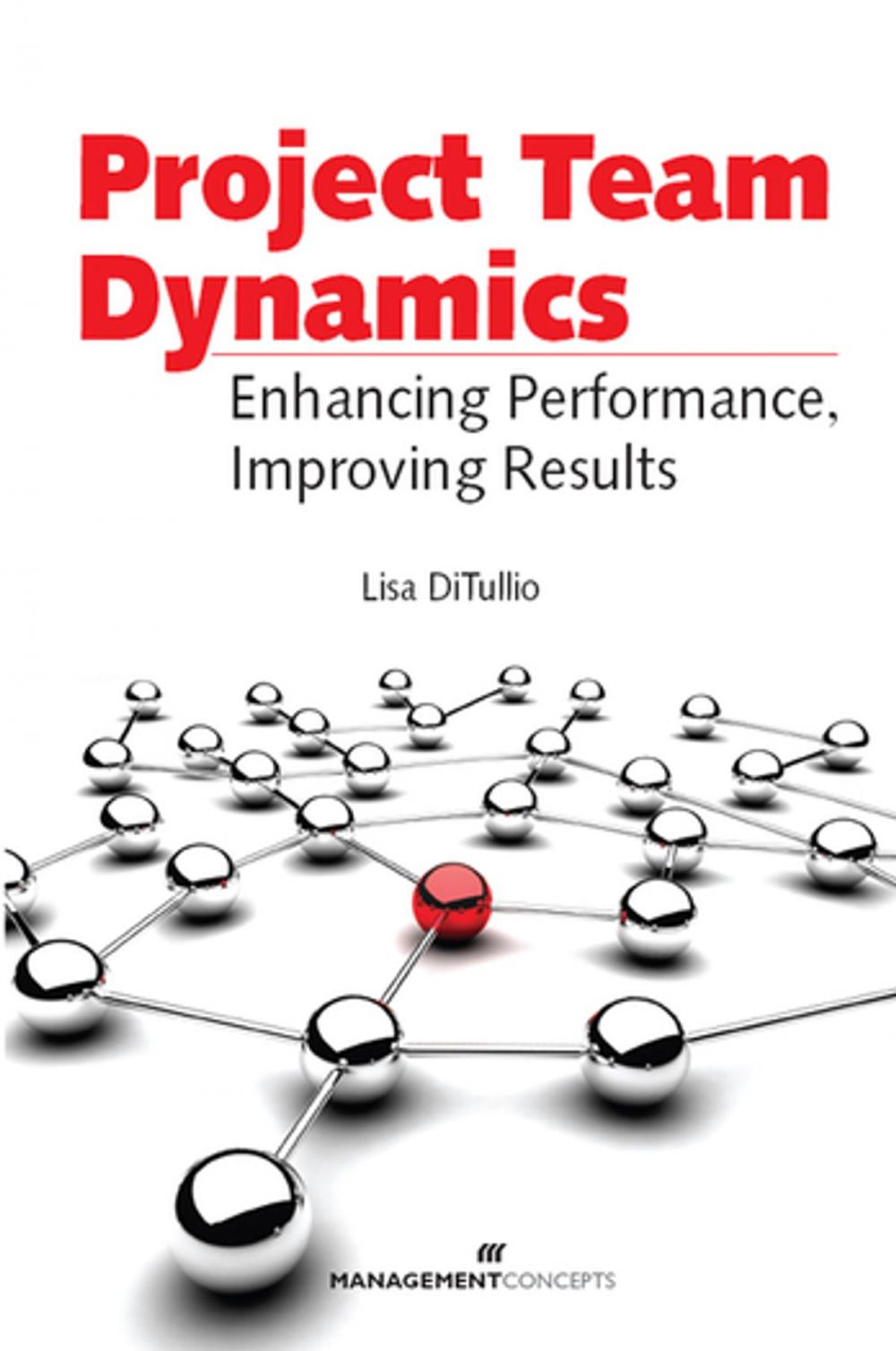 Big bigCover of Project Team Dynamics