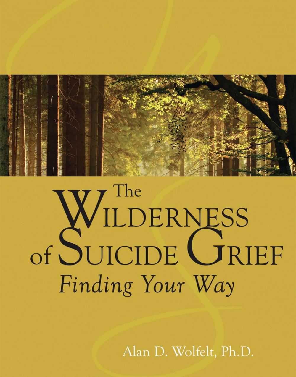 Big bigCover of The Wilderness of Suicide Grief