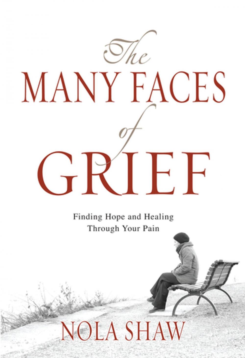 Big bigCover of The Many Faces of Grief (eBook)