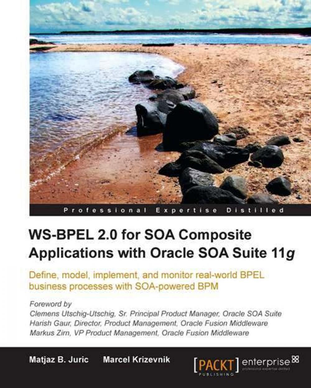 Big bigCover of WS-BPEL 2.0 for SOA Composite Applications with Oracle SOA Suite 11g