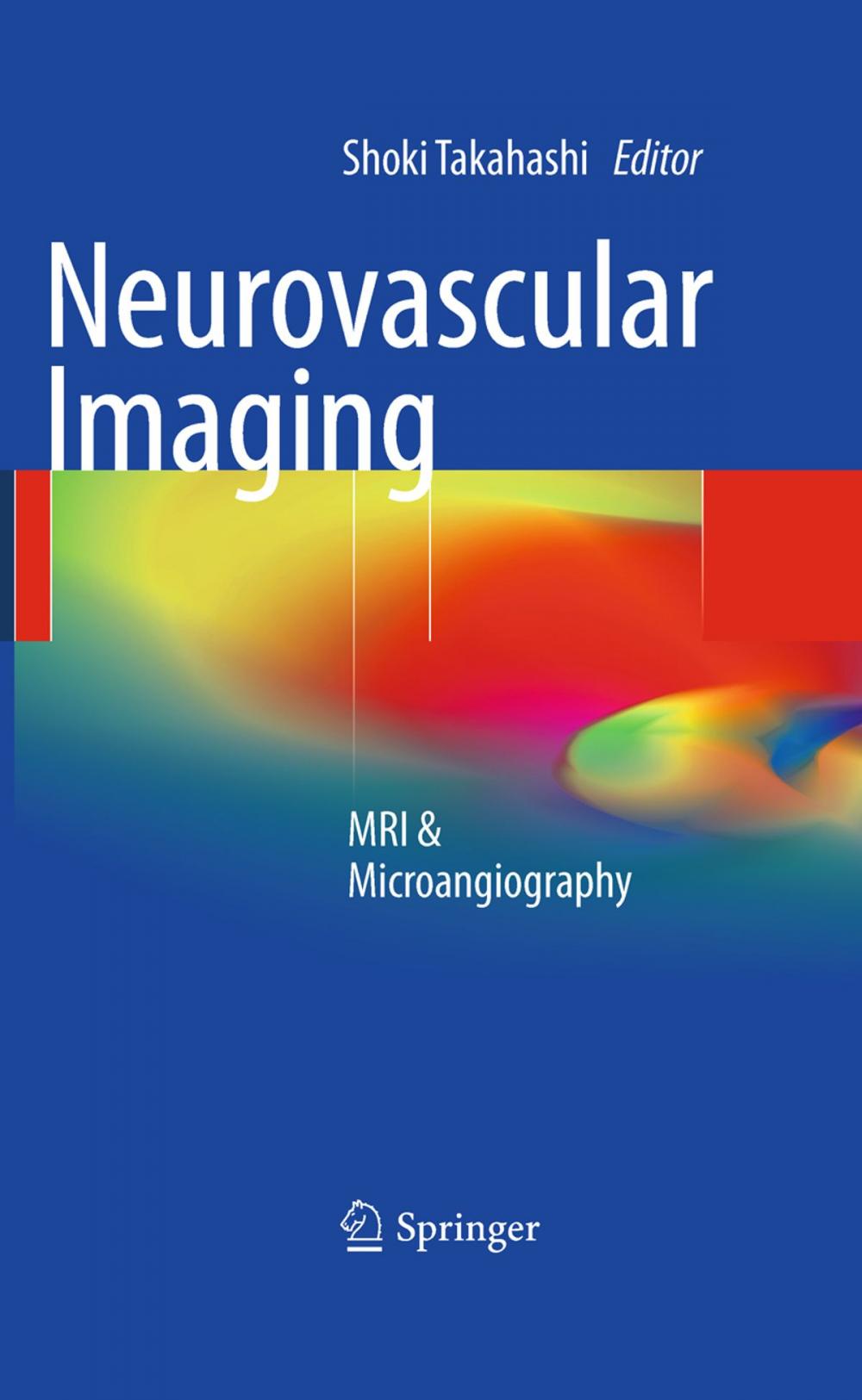 Big bigCover of Neurovascular Imaging