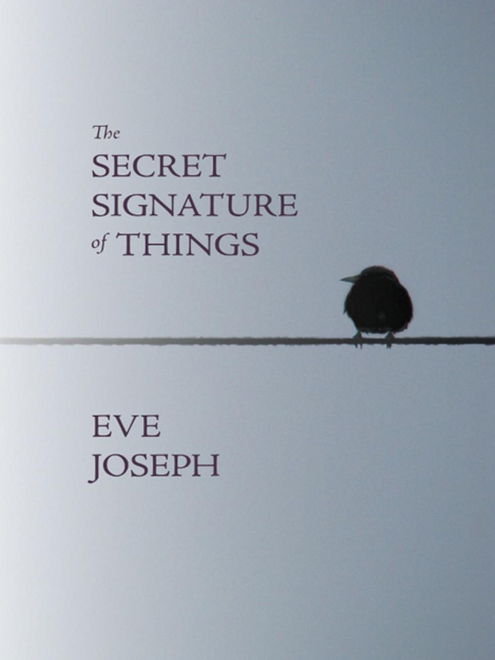 Big bigCover of The Secret Signature of Things