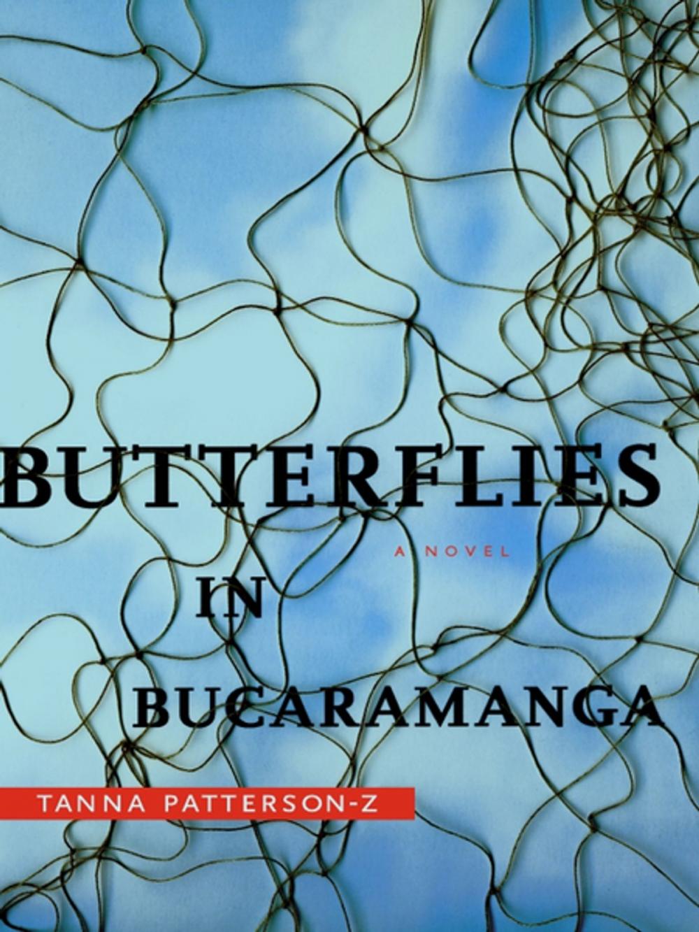 Big bigCover of Butterflies in Bucaramanga